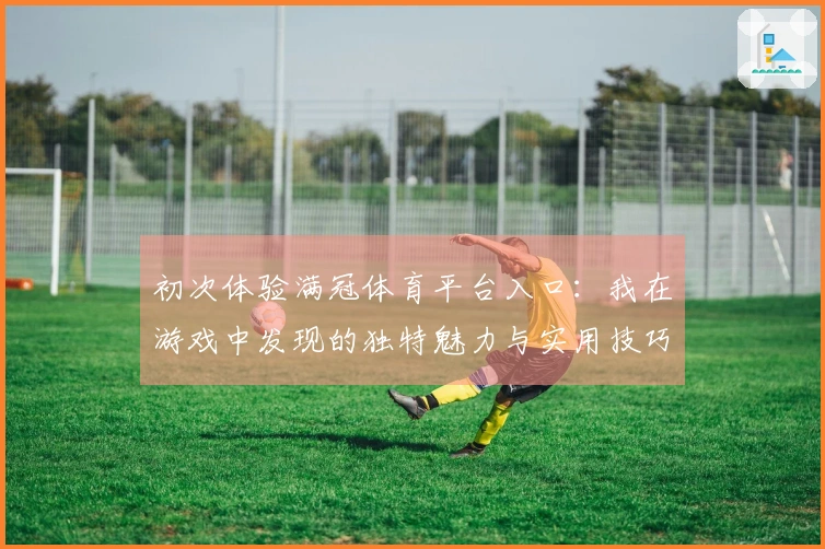 初次体验满冠体育平台入口：我在游戏中发现的独特魅力与实用技巧