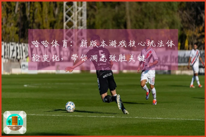 哈哈体育：新版本游戏核心玩法体验变化，带你洞悉致胜关键