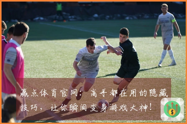 赢点体育官网：高手都在用的隐藏技巧，让你瞬间变身游戏大神！